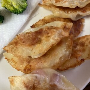 白菜たっぷり餃子